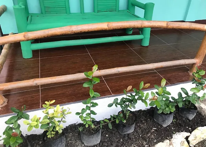 B-b's Traveler Hostel